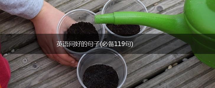 英语问好的句子(必备119句),第1张