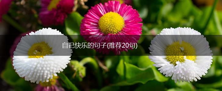 自己快乐的句子(推荐20句),第1张
