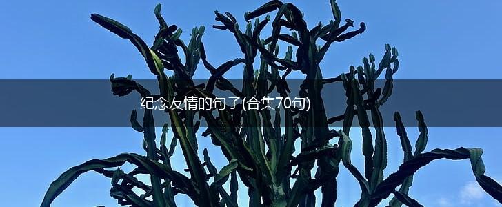 纪念友情的句子(合集70句),第1张