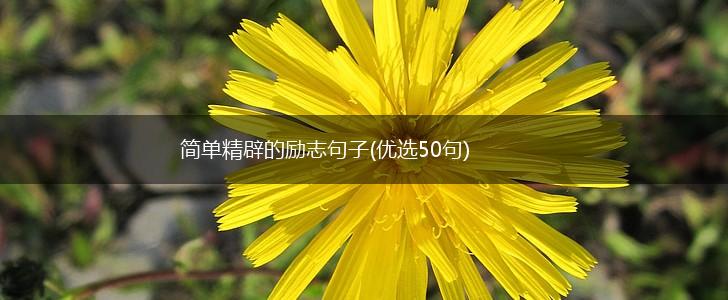 简单精辟的励志句子(优选50句),第1张