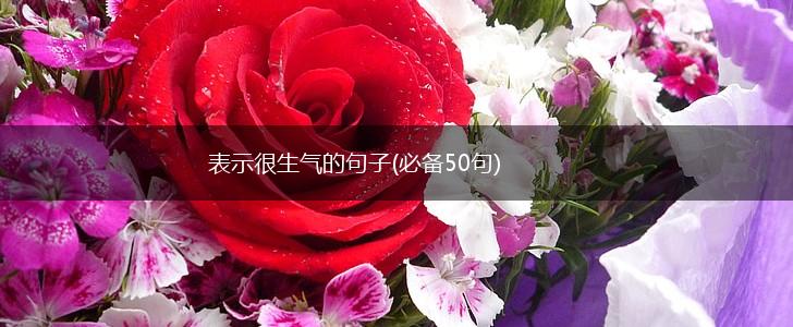 表示很生气的句子(必备50句),第1张
