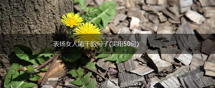 表扬女人能干的句子(实用50句),第1张