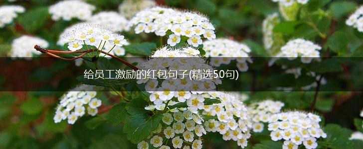 给员工激励的红包句子(精选50句),第1张