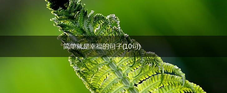简单就是幸福的句子(10句),第1张