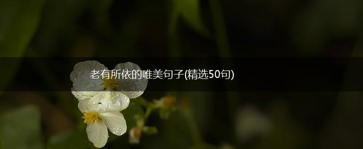 老有所依的唯美句子(精选50句),第1张