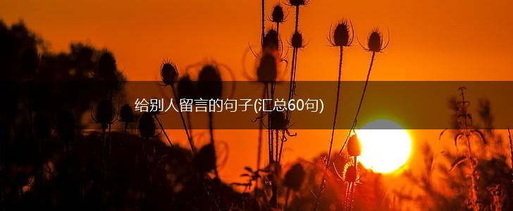 给别人留言的句子(汇总60句),第1张