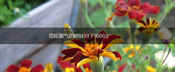 简短霸气的晒娃句子(60句),第1张