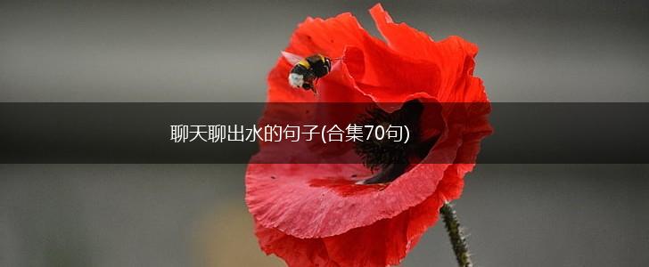 聊天聊出水的句子(合集70句),第1张