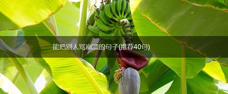 能把别人骂崩溃的句子(推荐40句),第1张