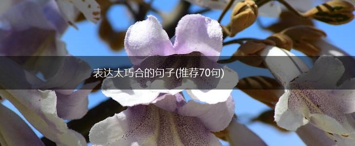 表达太巧合的句子(推荐70句),第1张
