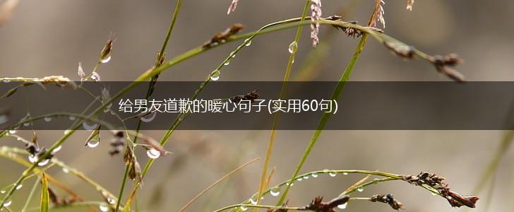 给男友道歉的暖心句子(实用60句),第1张
