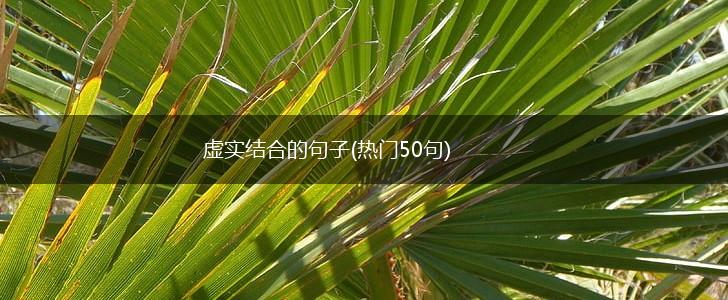虚实结合的句子(热门50句),第1张