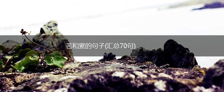 苦和累的句子(汇总70句),第1张