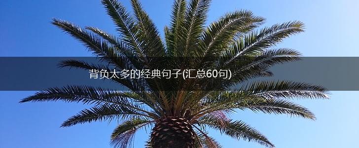背负太多的经典句子(汇总60句),第1张