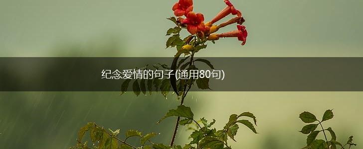 纪念爱情的句子(通用80句),第1张