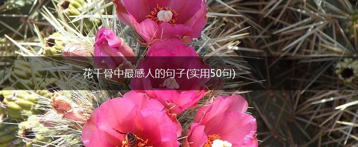 花千骨中最感人的句子(实用50句),第1张