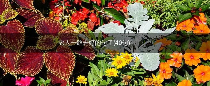 老人一路走好的句子(40句),第1张