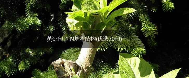 英语句子的基本结构(优选70句),第1张