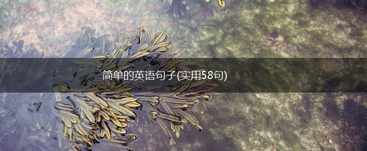 简单的英语句子(实用58句),第1张