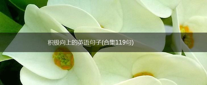 积极向上的英语句子(合集119句),第1张