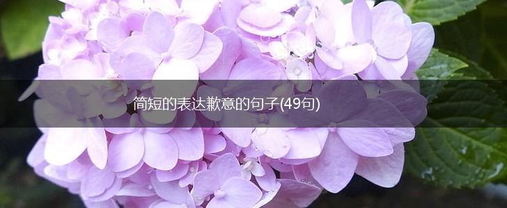简短的表达歉意的句子(49句),第1张