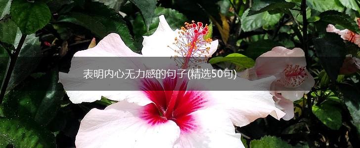 表明内心无力感的句子(精选50句),第1张