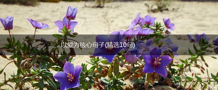 以爱为核心句子(精选10句),第1张