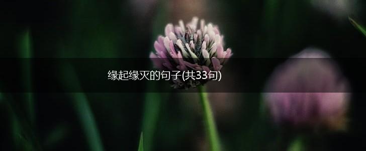 缘起缘灭的句子(共33句),第1张