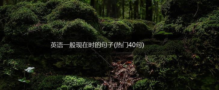 英语一般现在时的句子(热门40句),第1张