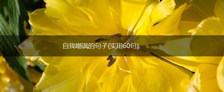 自我嘲讽的句子(实用60句),第1张