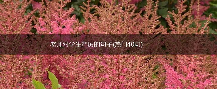 老师对学生严厉的句子(热门40句),第1张