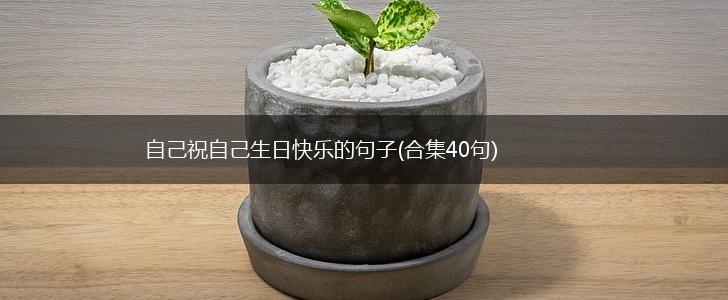 自己祝自己生日快乐的句子(合集40句),第1张