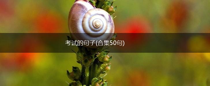 考试的句子(合集50句),第1张