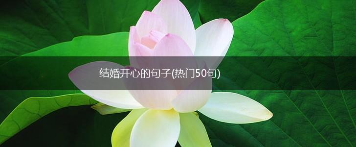 结婚开心的句子(热门50句),第1张