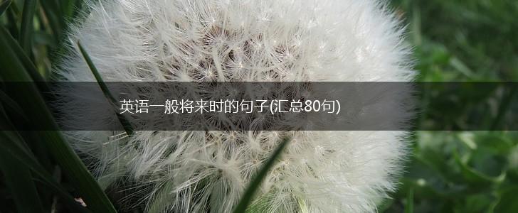 英语一般将来时的句子(汇总80句),第1张