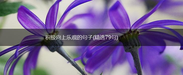 积极向上乐观的句子(精选79句),第1张