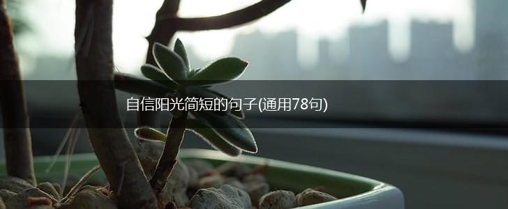 自信阳光简短的句子(通用78句),第1张