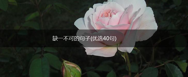 缺一不可的句子(优选40句),第1张