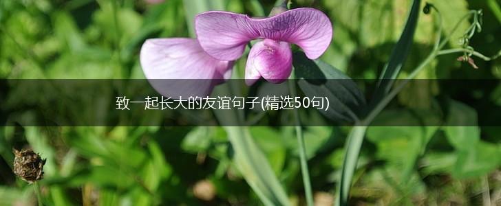 致一起长大的友谊句子(精选50句),第1张