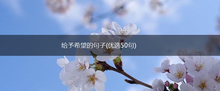 给予希望的句子(优选50句),第1张