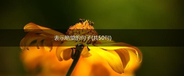 表示绝望的句子(共50句),第1张