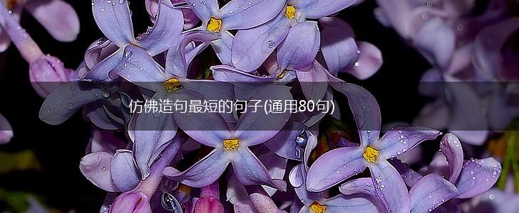仿佛造句最短的句子(通用80句),第1张