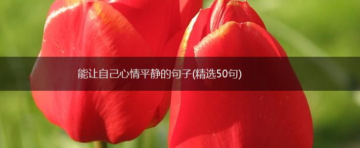 能让自己心情平静的句子(精选50句),第1张