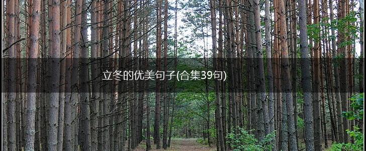 立冬的优美句子(合集39句),第1张