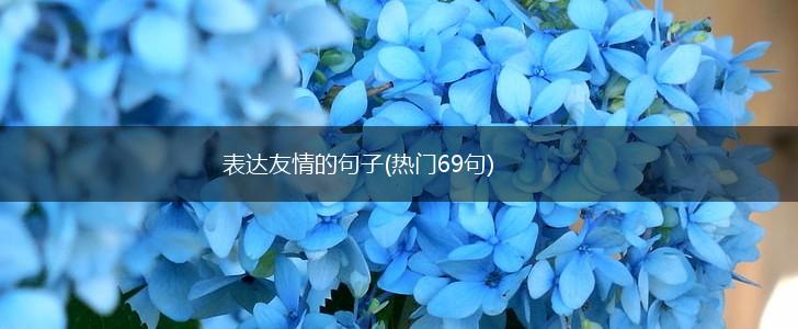 表达友情的句子(热门69句),第1张