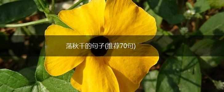 荡秋千的句子(推荐70句),第1张