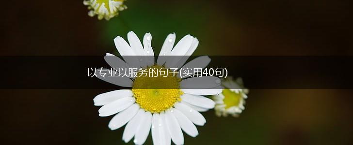以专业以服务的句子(实用40句),第1张