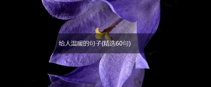 给人温暖的句子(精选60句),第1张