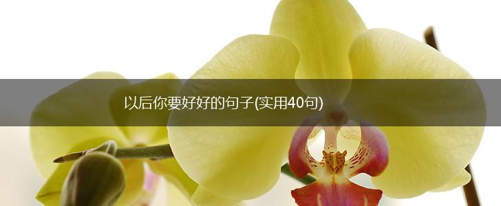 以后你要好好的句子(实用40句),第1张