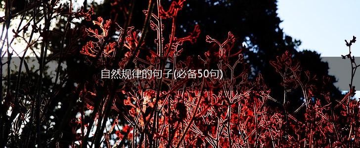 自然规律的句子(必备50句),第1张